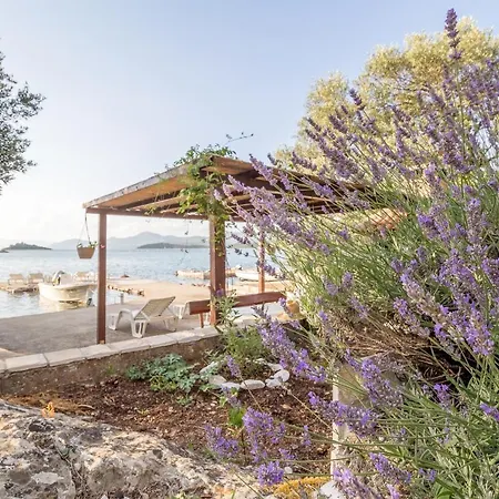 Zuronja 10134b Apartamento *